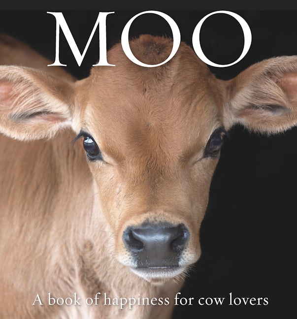 Book cover image for Moo ISBN: 9781922539052